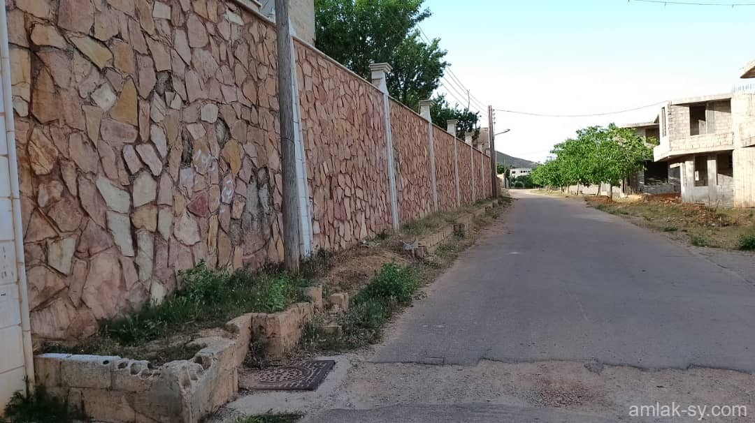 صورة العقار