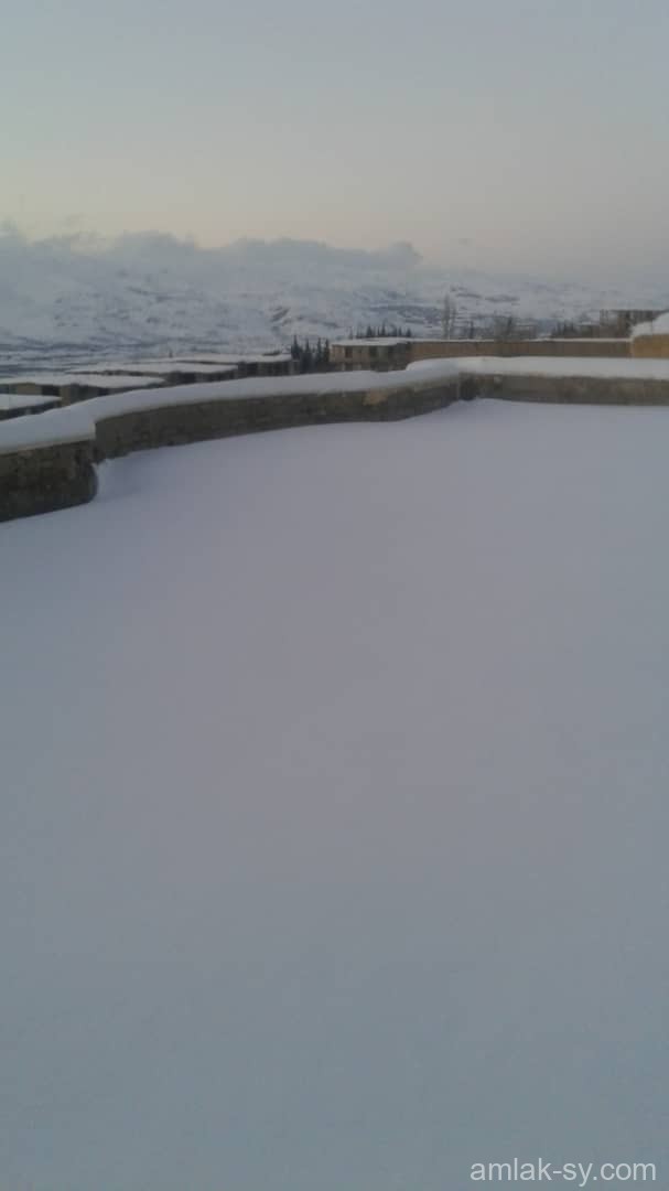 صورة العقار