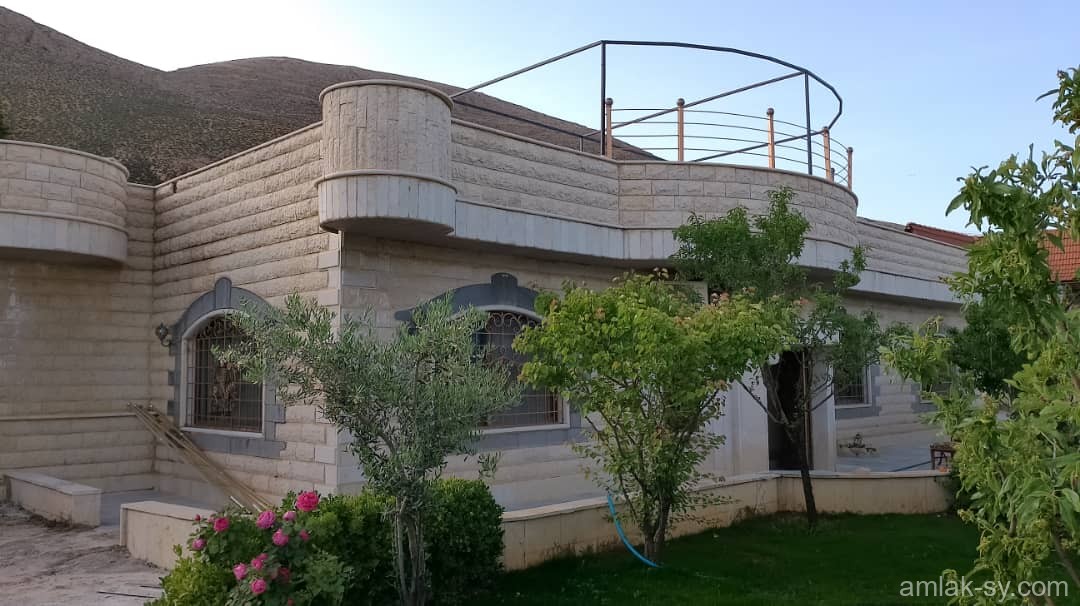 صورة العقار