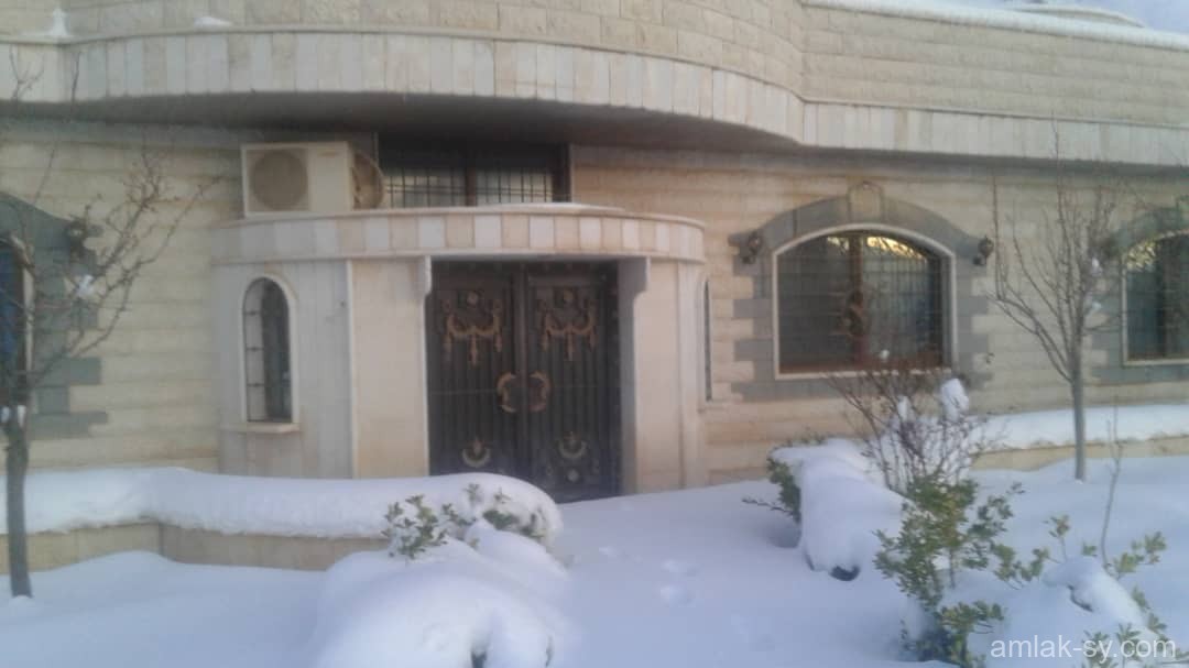صورة العقار