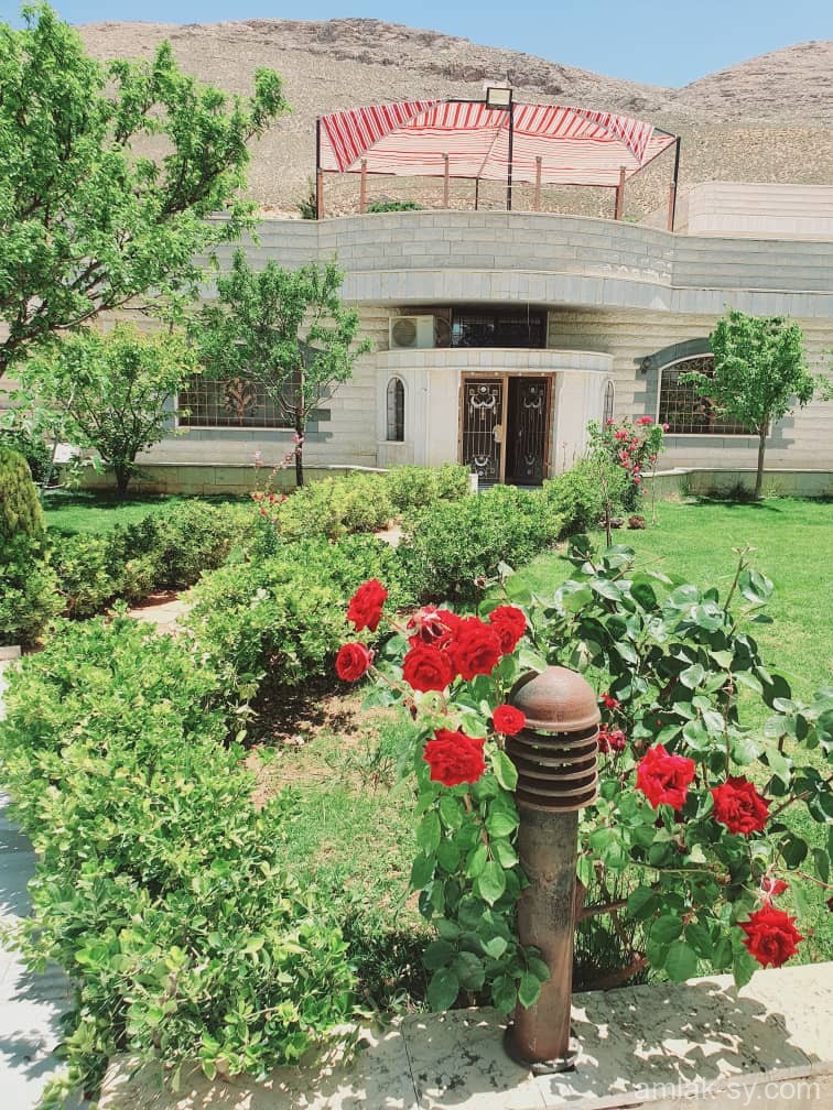صورة العقار