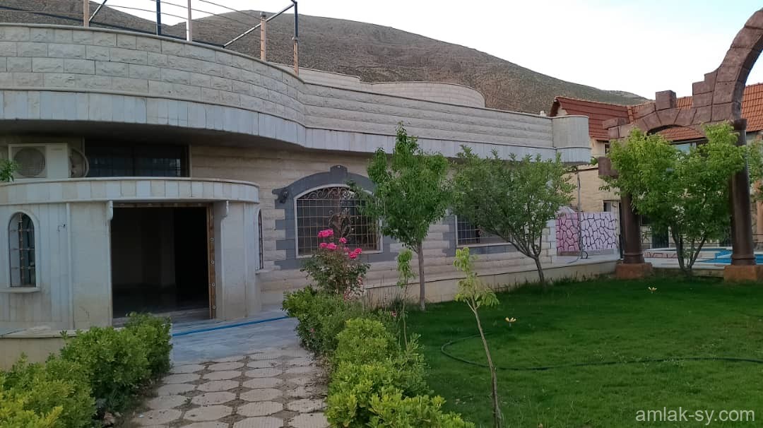 صورة العقار
