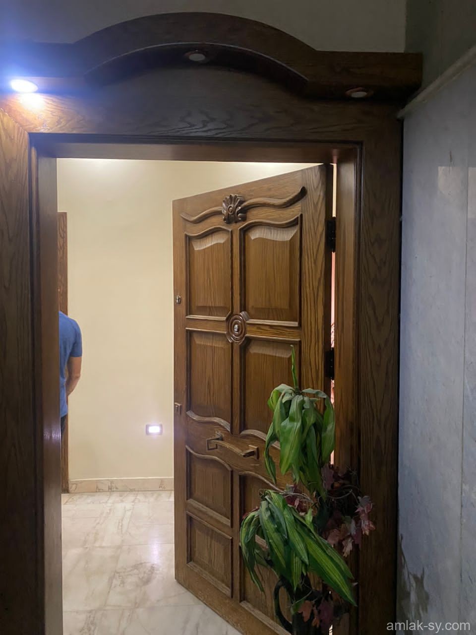 صورة العقار