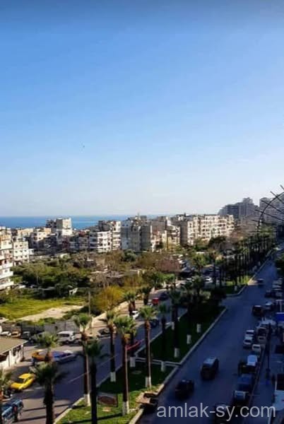 صورة العقار