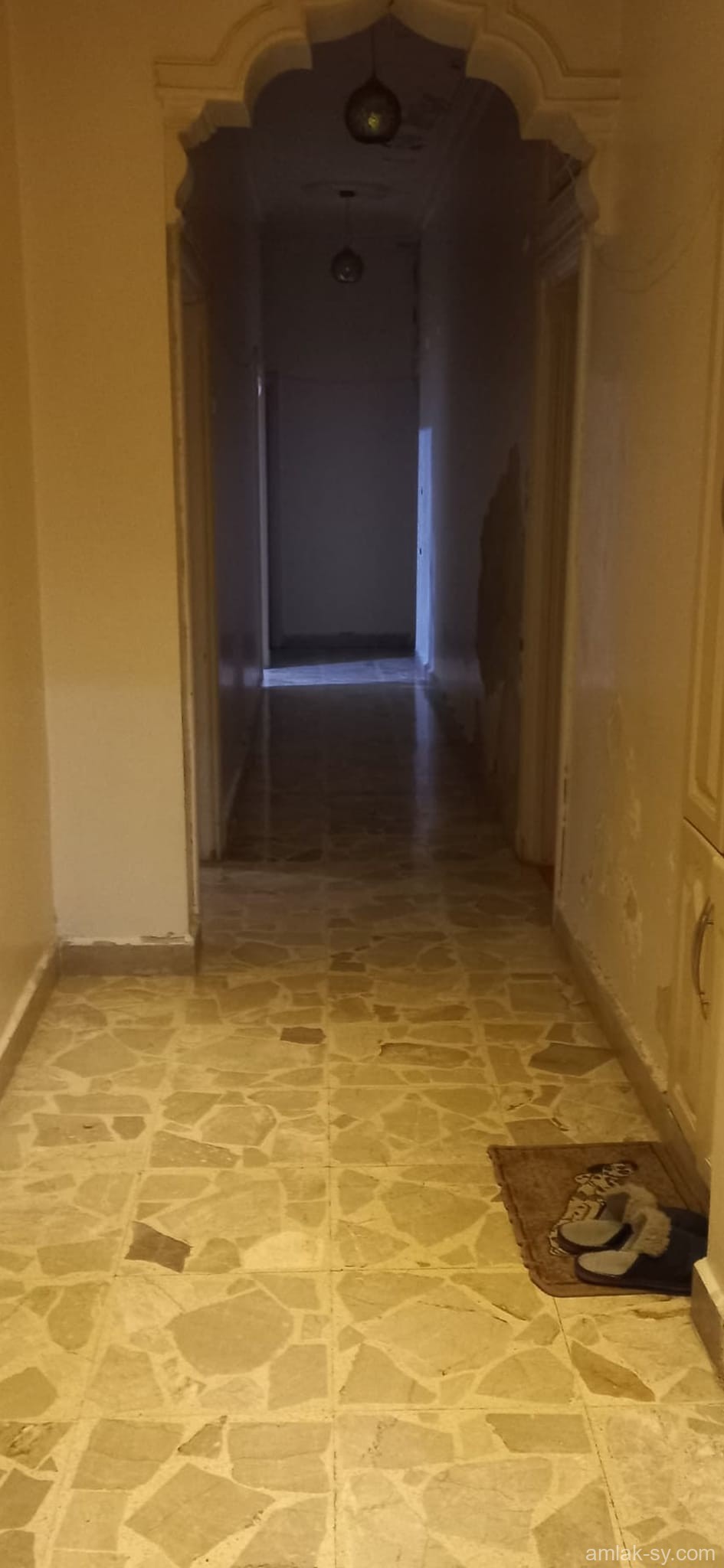 صورة العقار