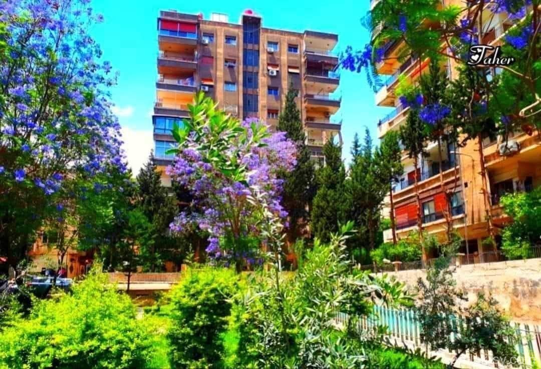 صورة العقار