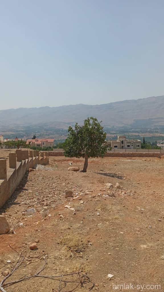 صورة العقار