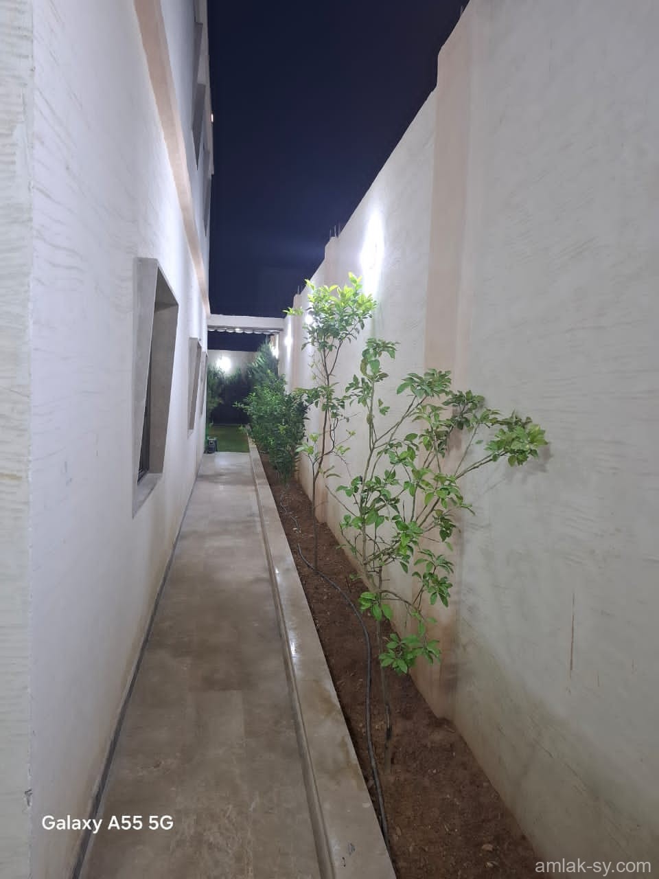 صورة العقار