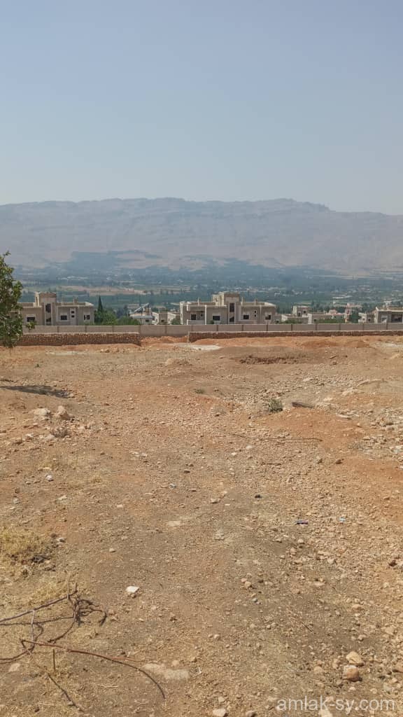 صورة العقار