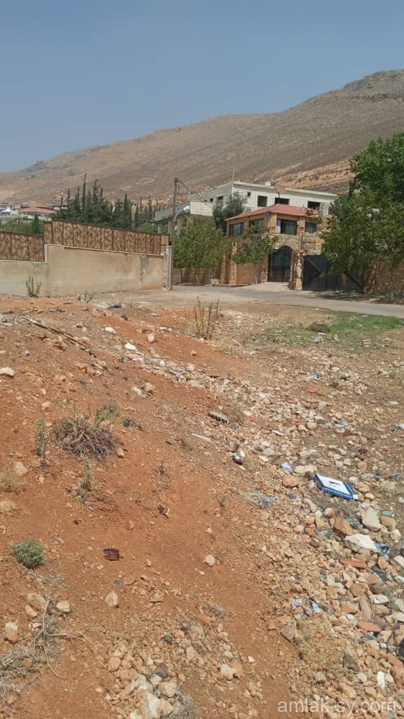 صورة العقار