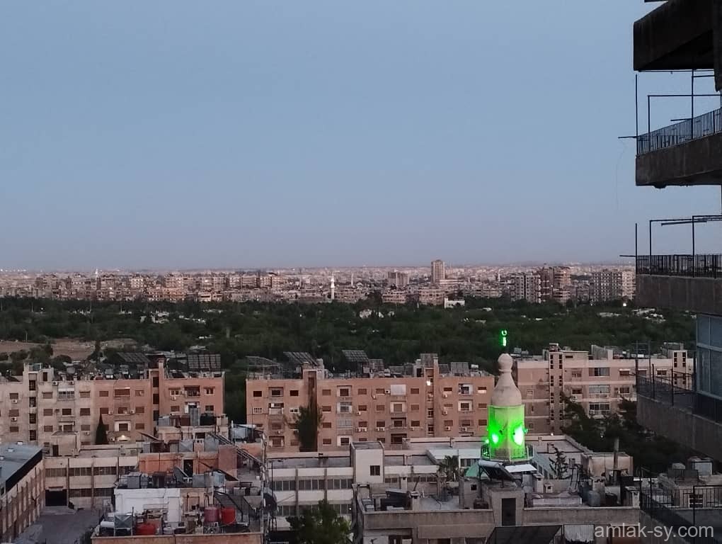 صورة العقار