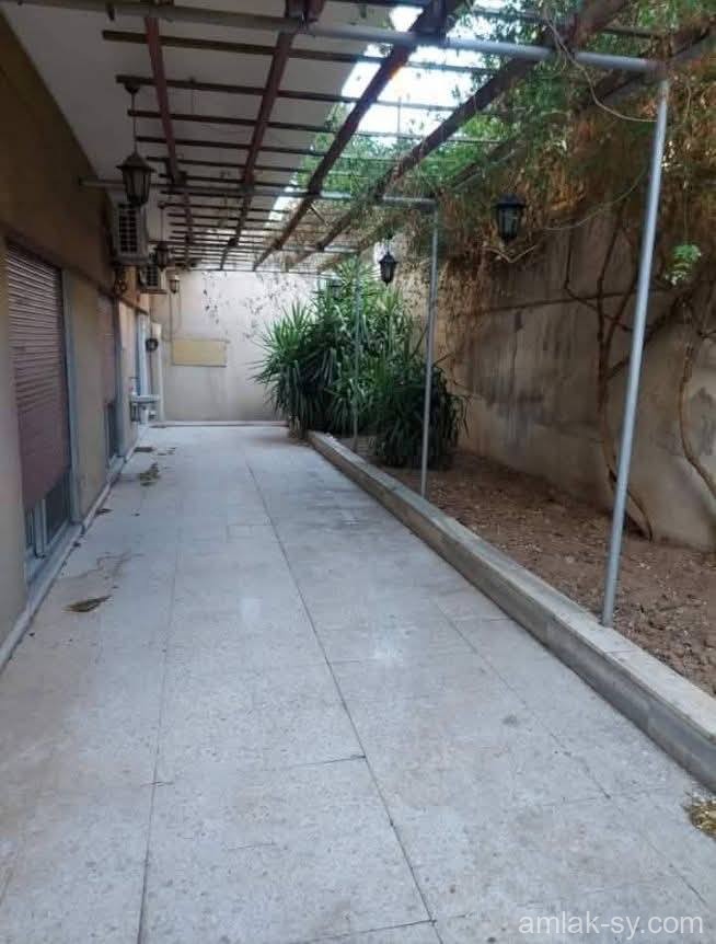 صورة العقار
