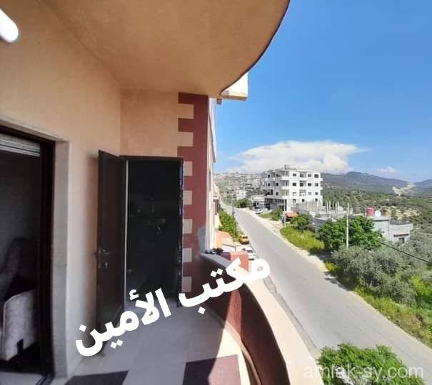 صورة العقار
