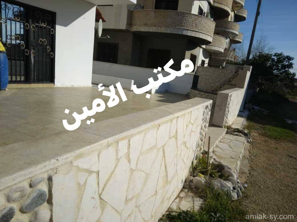 صورة العقار