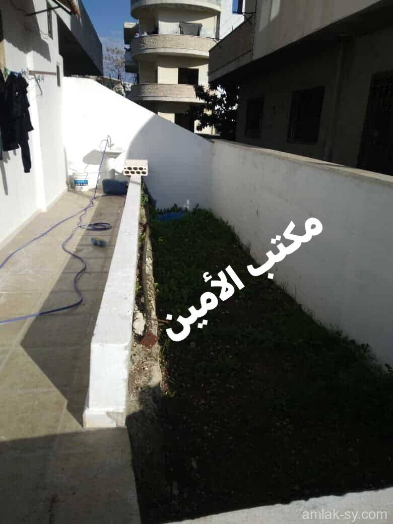 صورة العقار
