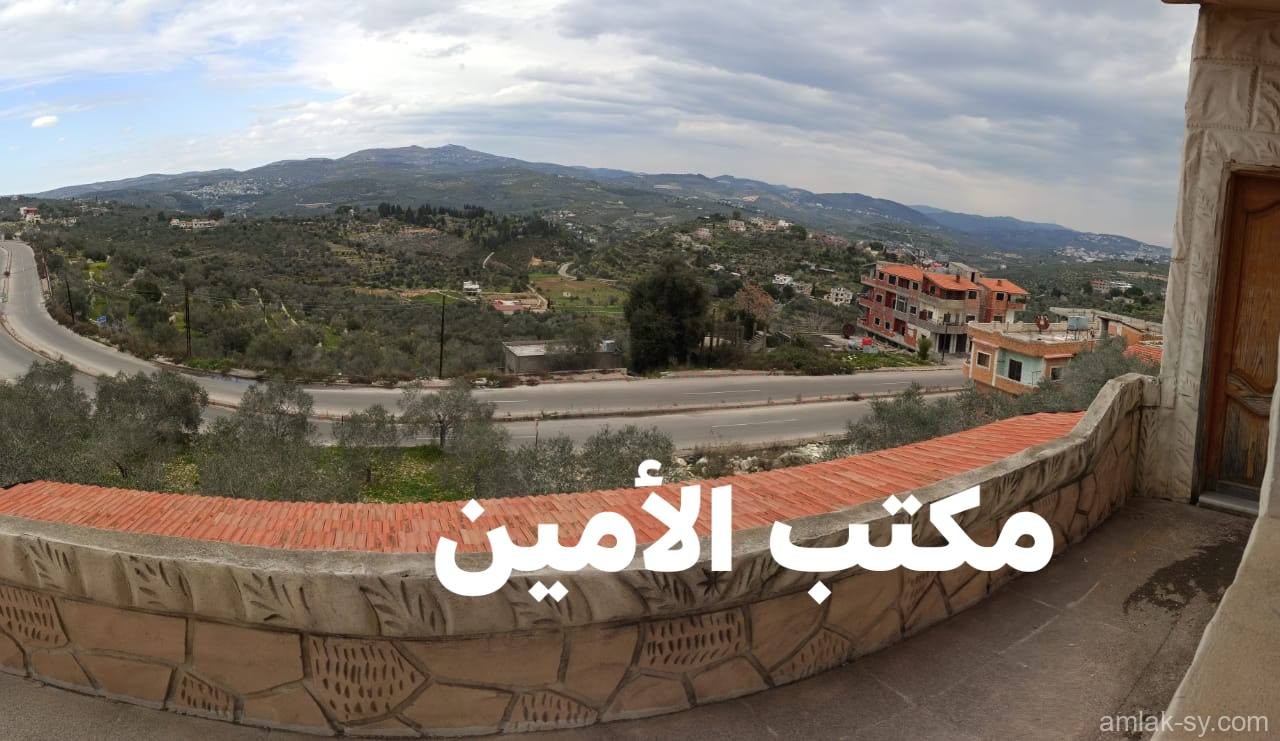 صورة العقار