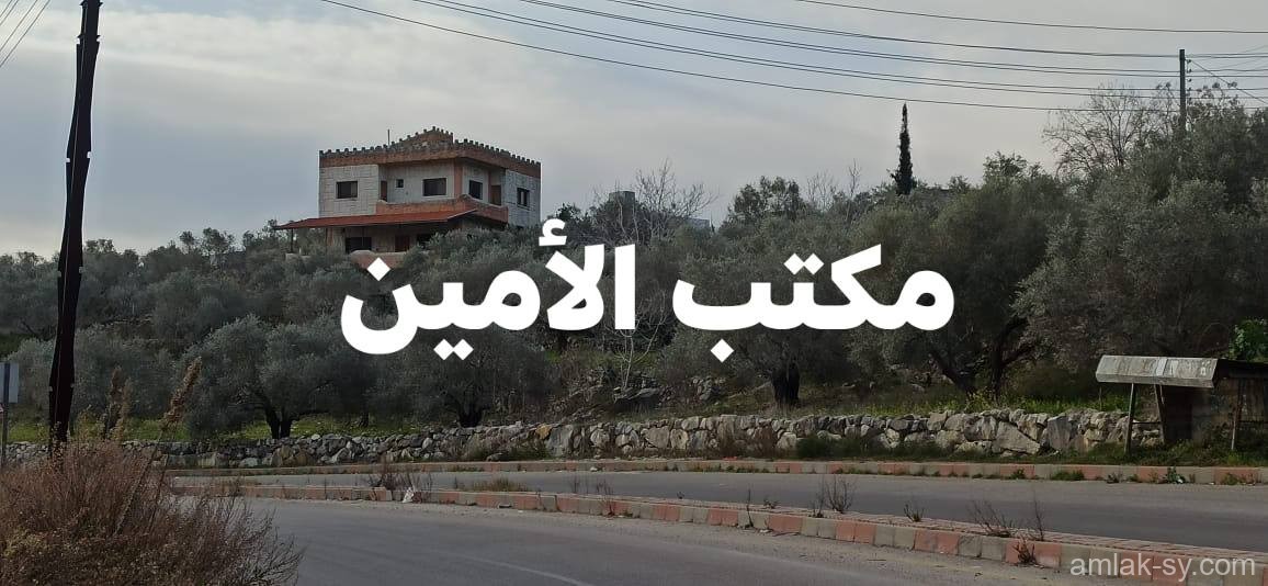 صورة العقار