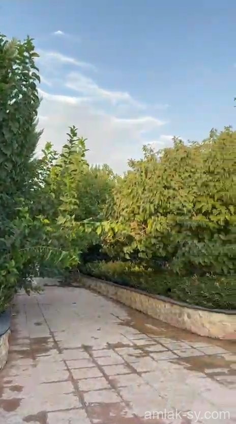 مزرعة دونم كامل فس زبدين للبيع (718)