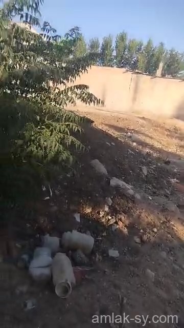 أرض 36 قصبة في ببيلا للبيع (769)