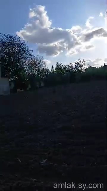 أرض 95 قصبة في ببيلا للبيع (390)