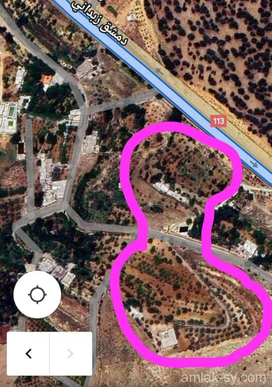 ارض 30 دونم في تكية الزبداني للبيع (795)