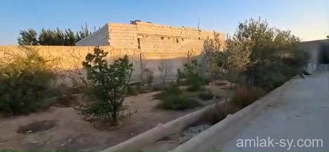 مزرعة 1050م شبه جاهزة للبيع (801)