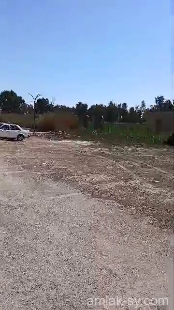 أرض 25 دونم على طريق المطار للبيع (839)