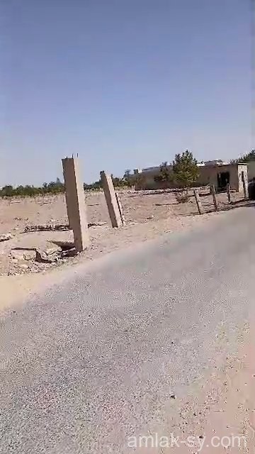 أرض 4قطع بمجموع مساحة 3950م في زبدين للبيع (911)