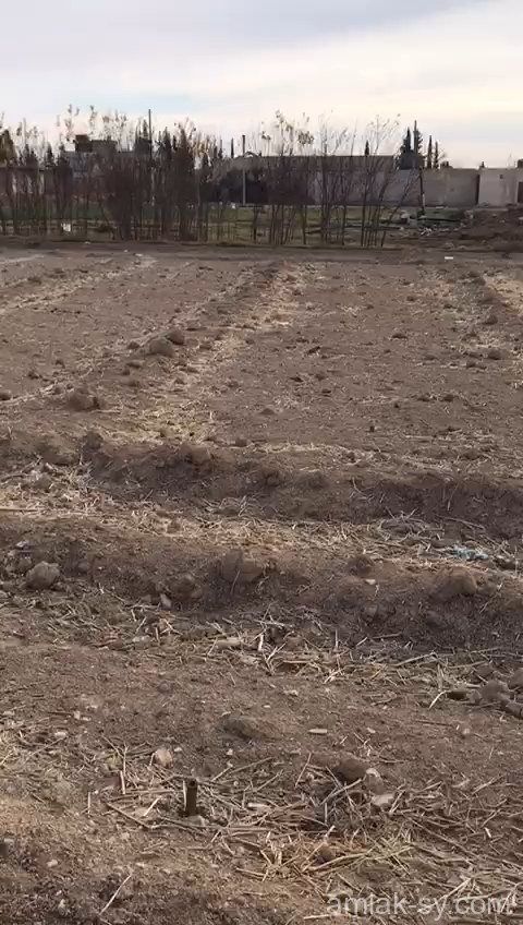 ارض 1268م في حتيتة تركمان للبيع (27)