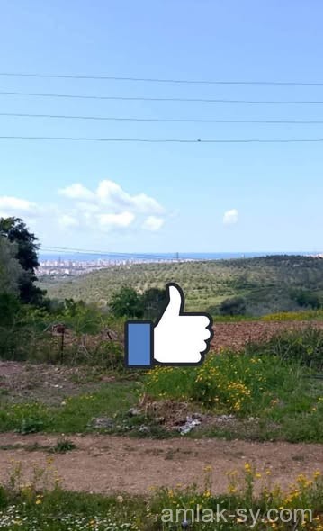 أرض مساحة 2000م بإطلالة رااااائعة في بيت السلطان للبيع