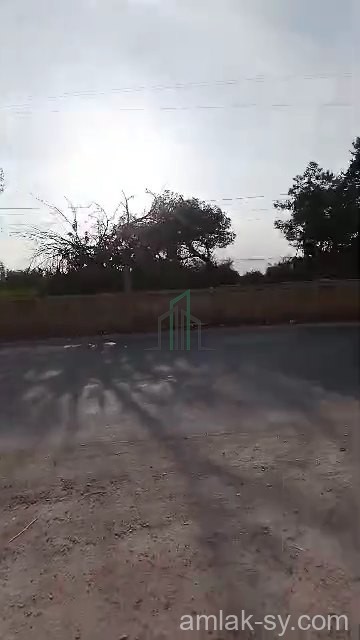 أ{ض 14 دنم على طريق المطار في شبعا للبيع (51)