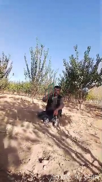 ارض 15 دونم على طريق الزعرورة في زبدين للبيع