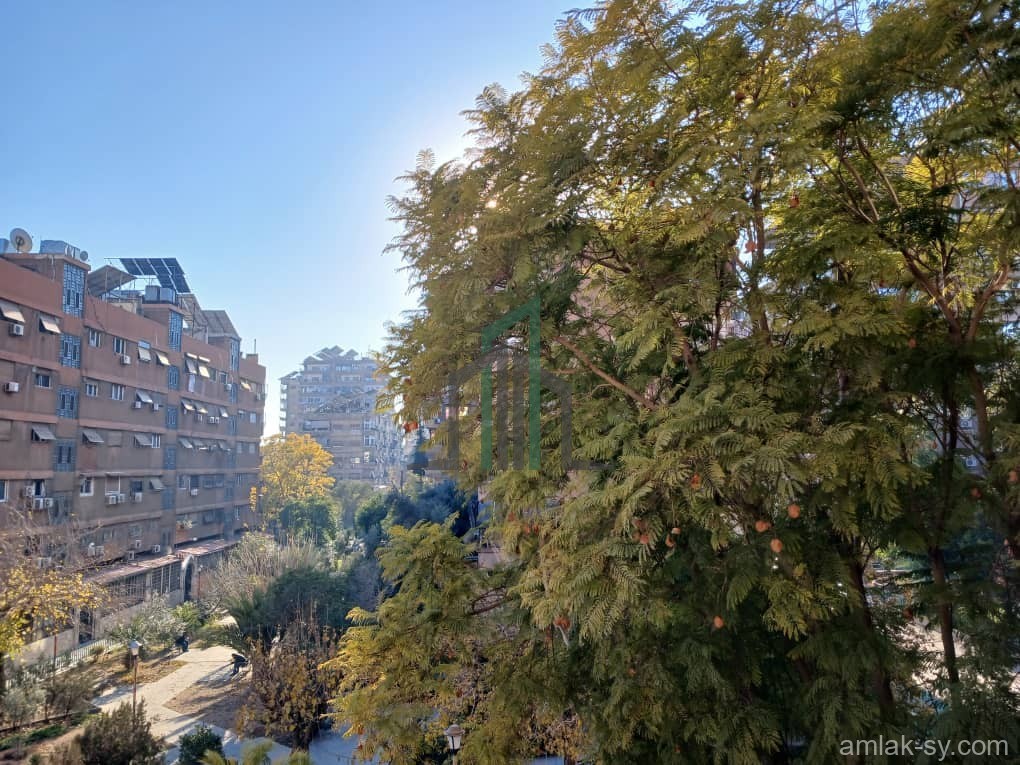 شقة للبيع 140 م شرقي ركن الدين - الحزام الأخضر