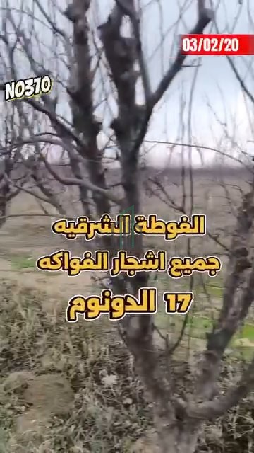 ارض مساحتها 17م - ريف دمشق- الغوطة الشرقية